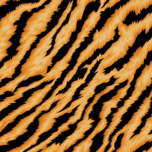 Animal Print - Tiger