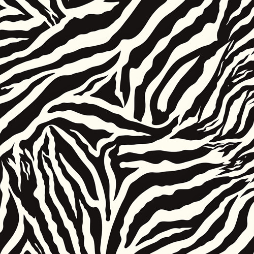 Animal Print - Zebra